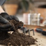 Análise de Solo: o segredo da alta produtividade e da agricultura sustentável